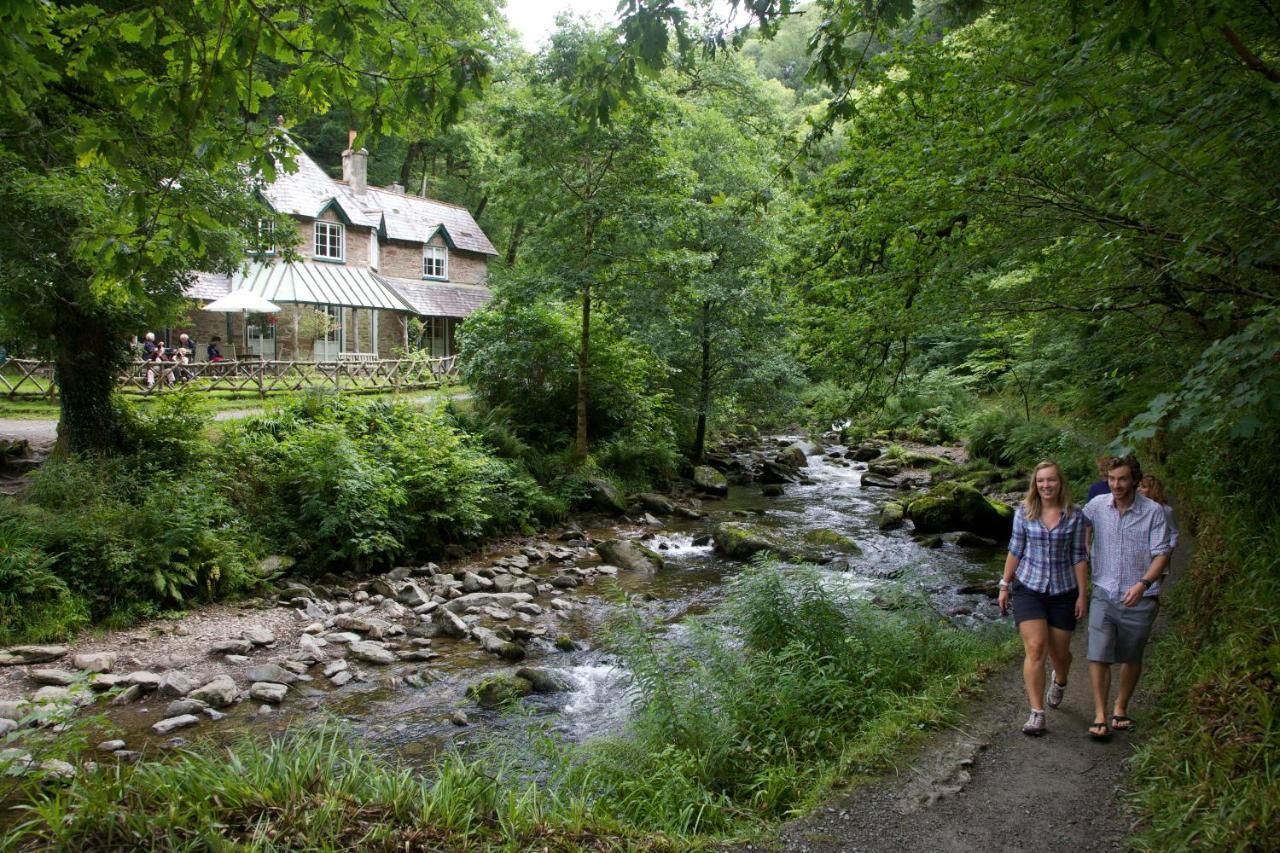 Southcliffe B&B Лінтон Екстер'єр фото